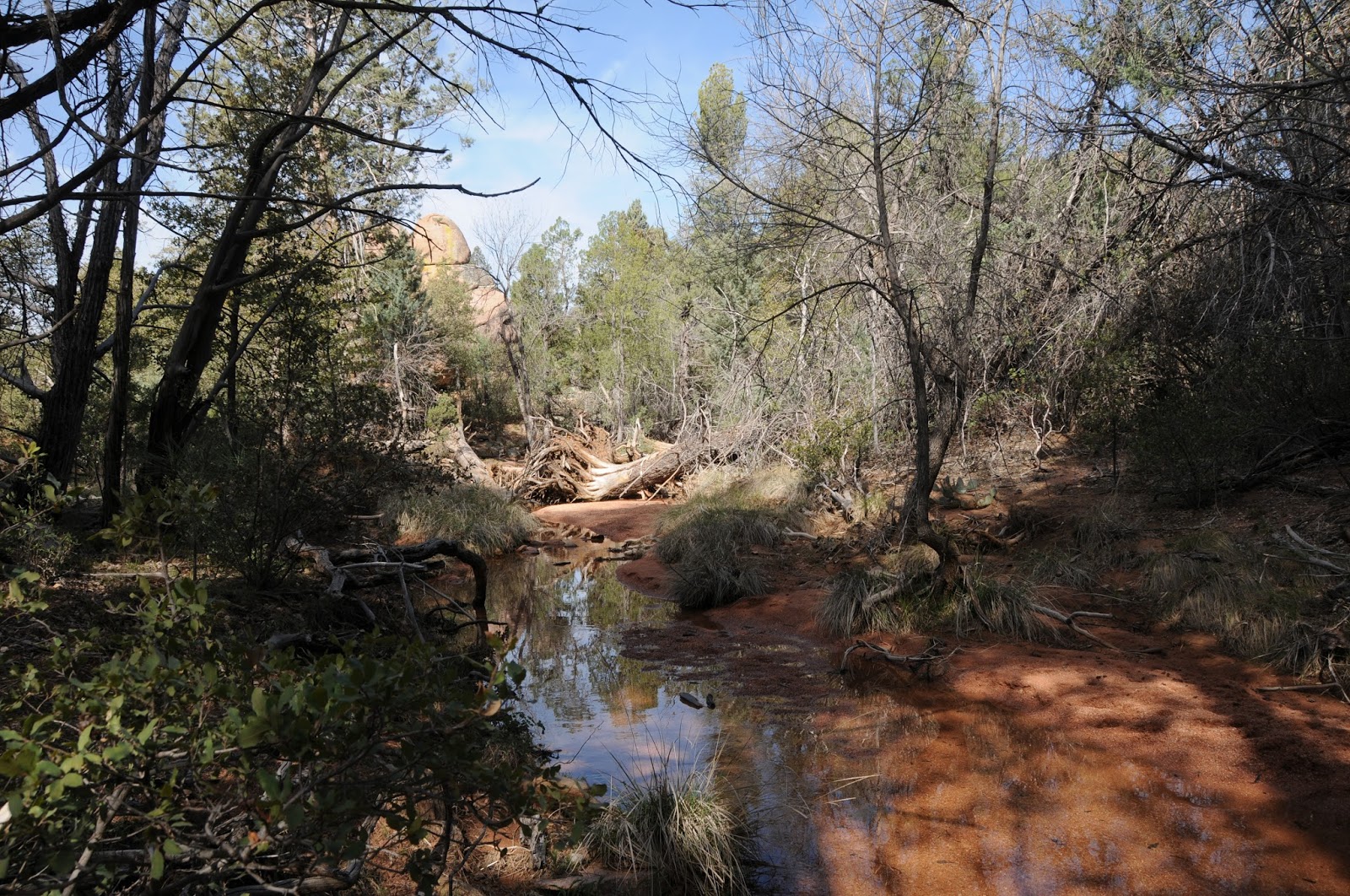 Arizona Hiking Boulders Loop
