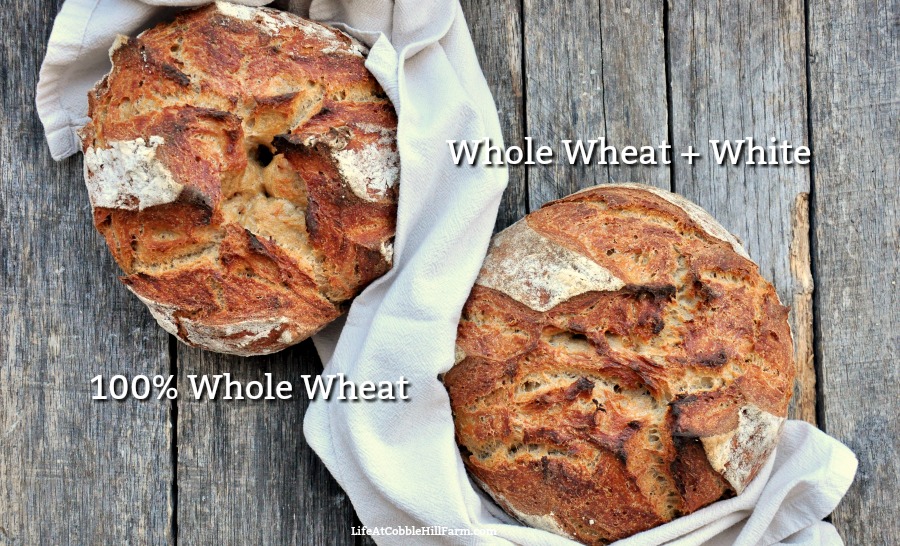 Benjamin Gardening The Most DELICIOUS NoKnead Artisan Bread (White