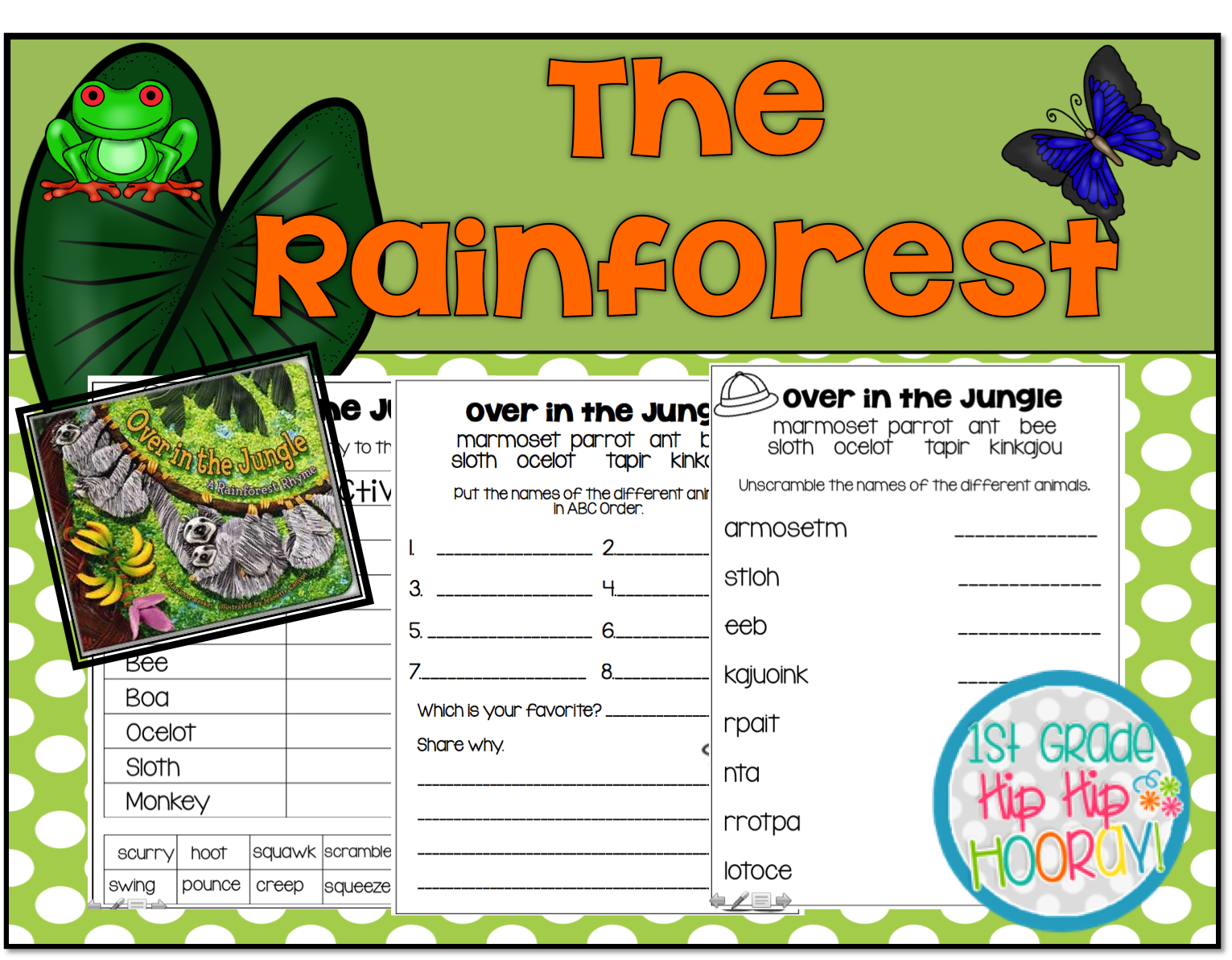 1st Grade Hip Hip Hooray!: A Rainforest Adventure for the Primary Child