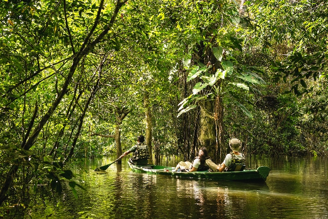 A Amazônia é a maior e mais diversa floresta tropical do mundo
