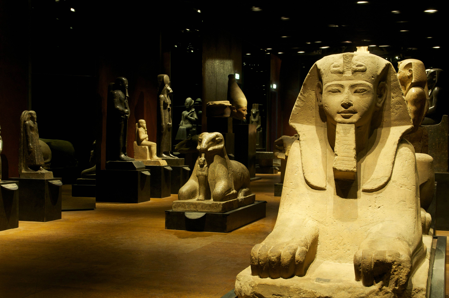 OpenArt: PHILIPS LIGHTING - ILLUMINAZIONE MUSEO EGIZIO TORINO