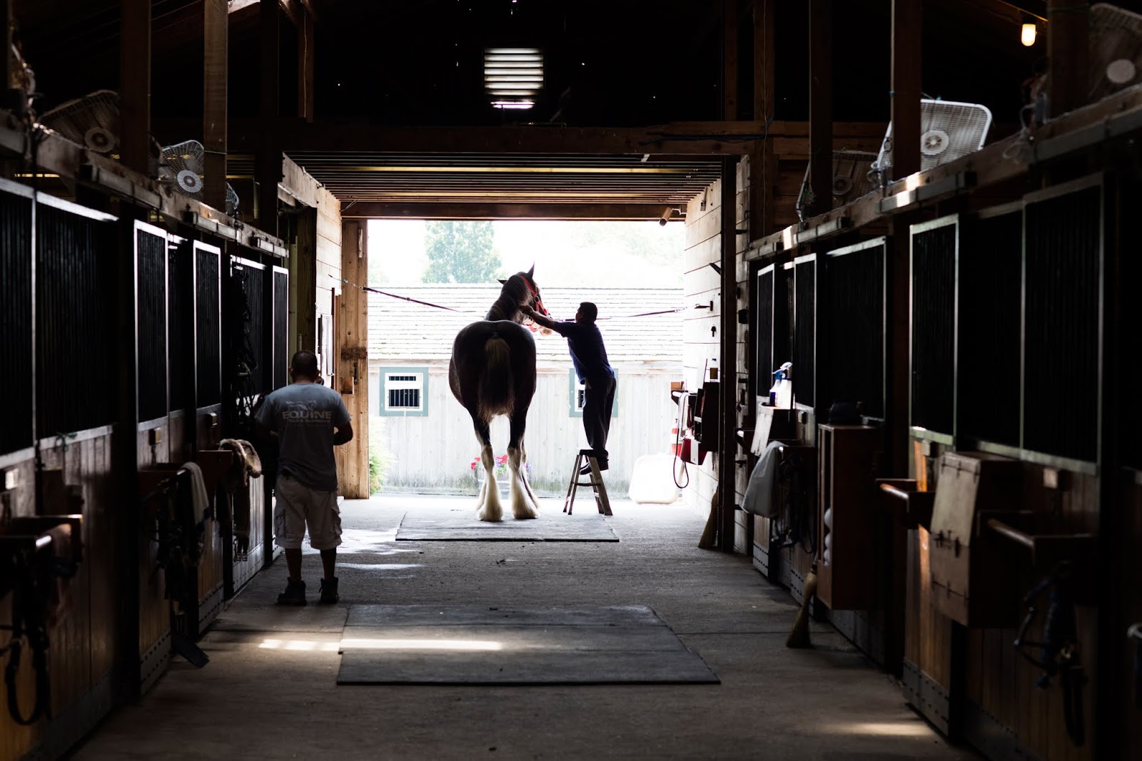 Wölffer Estate Stables [ Stable Insider ]