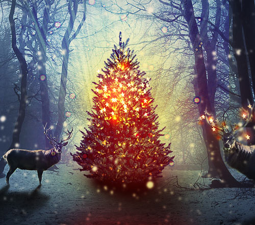 christmas meme, hippopotamus for christmas christmas meme, hippopotamus for christmas
