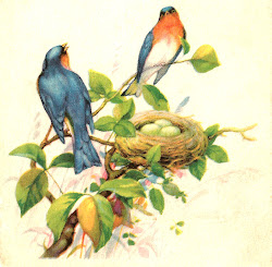 birds bird tree clip nest clipart eggs trees painting antique graphics cliparts flowers spring drawings prints winter cards library antiqueimages