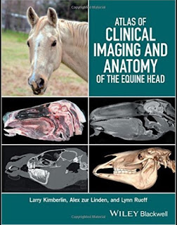 Atlas of Clinical Imaging and Anatomy of the Equine Head 1st Edition Atlas of Clinical Imaging and Anatomy of the Equine Head 1st Edition