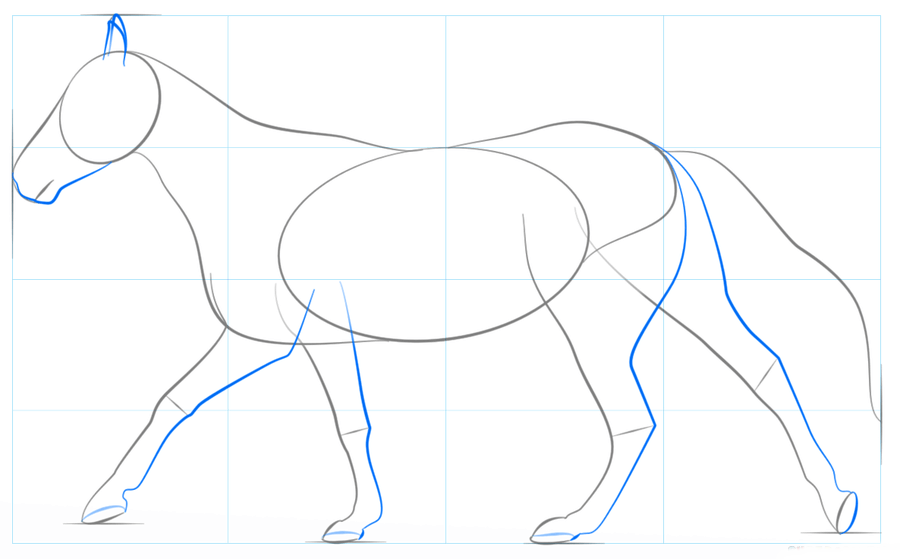 Como desenhar um cavalo correndo  Tutorial de desenho passo a passo