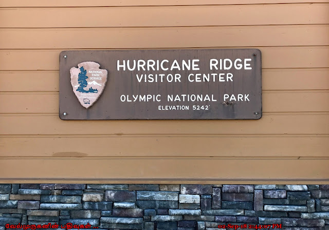 Hurricane Ridge Visitor Center