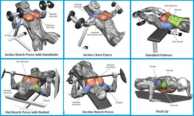 How To Build Chest Muscles-In 3 Quick Ways