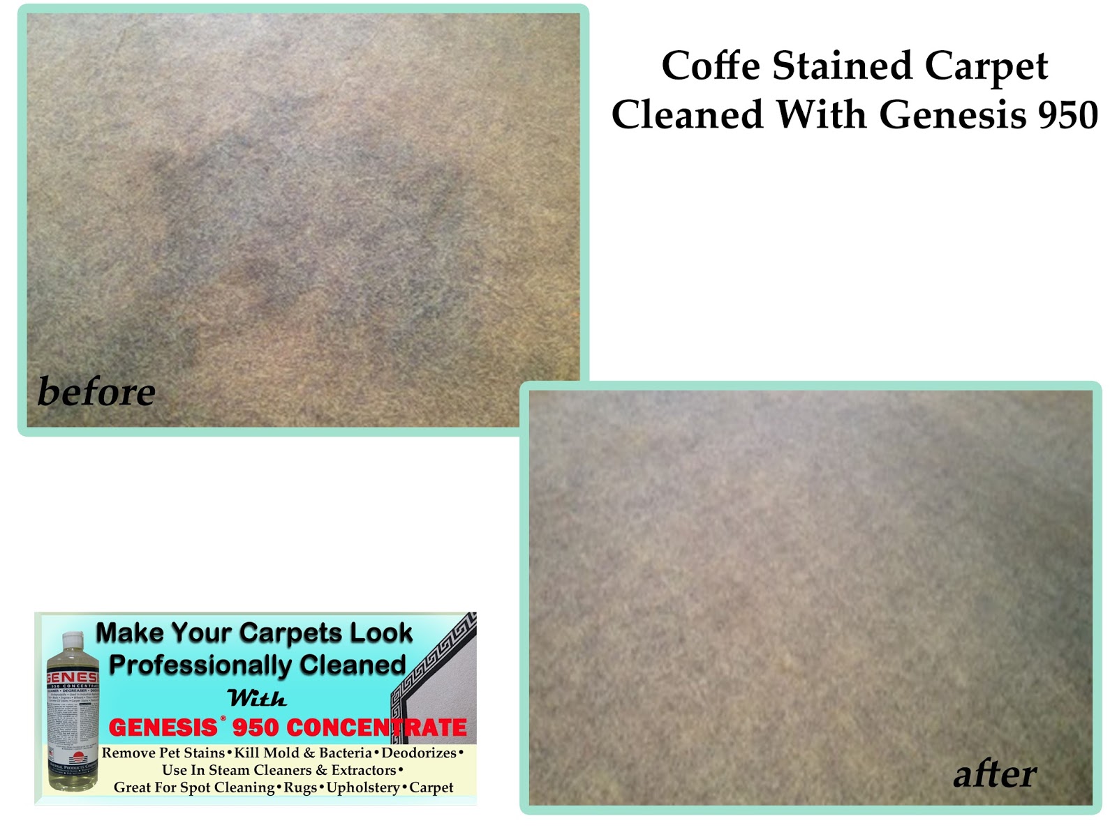 Best Carpet Cleaner And Stain Remover Genesis 950 Before & After Pics
