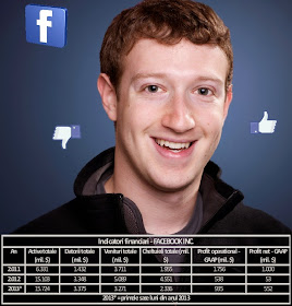 Situațiile financiare Facebook Inc 2011 2012 2013