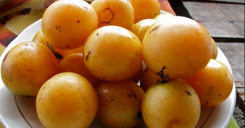 21 Arti Mimpi Tentang Buah Gandaria Menurut Primbon Jawa Dan Islam Arti Mimpi