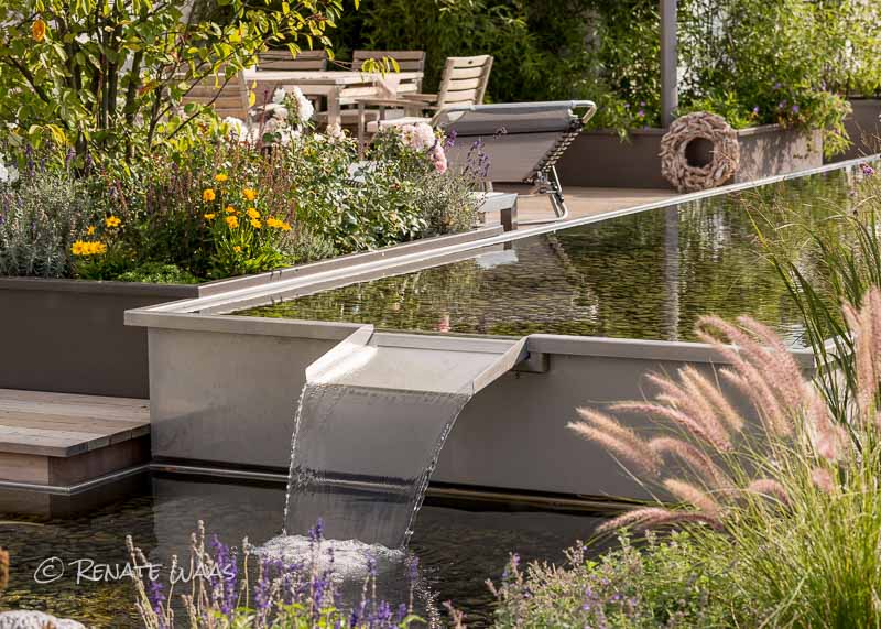 moderner garten mit grsern, moderner garten. wie kann ein kleiner garten modern gestaltet werden, Design ideen