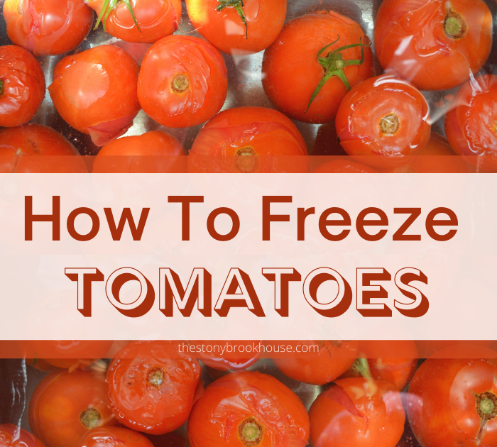 How To Freeze Leftover Tomatoes The Stonybrook House