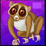  Games4King - G4K Slender Loris Escape