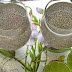 This Honey, Chia Seeds and Lemon Based Drink Will Speed Up Metabolism and Help You Lose Weight