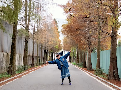 大溪景點-落羽松大道-錯過了陽光普照的燦爛金黃