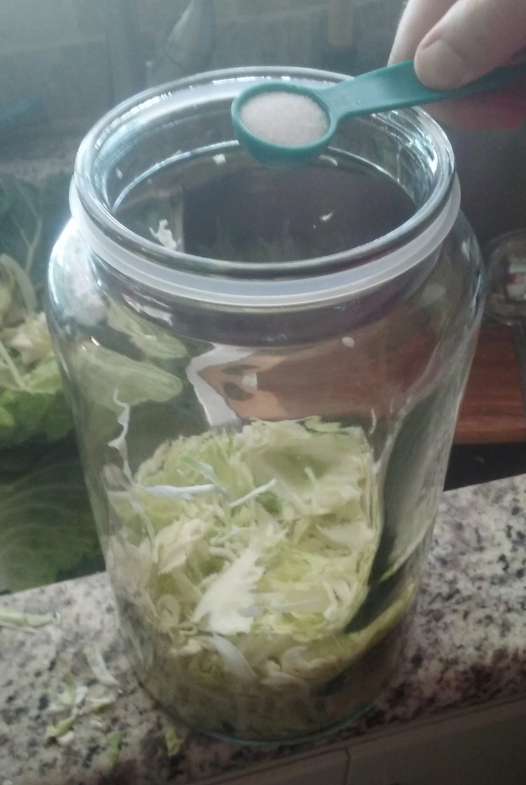 Skip The Bag Homemade Sauerkraut