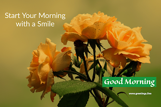 start your morning with smile! Good morning message with flowers