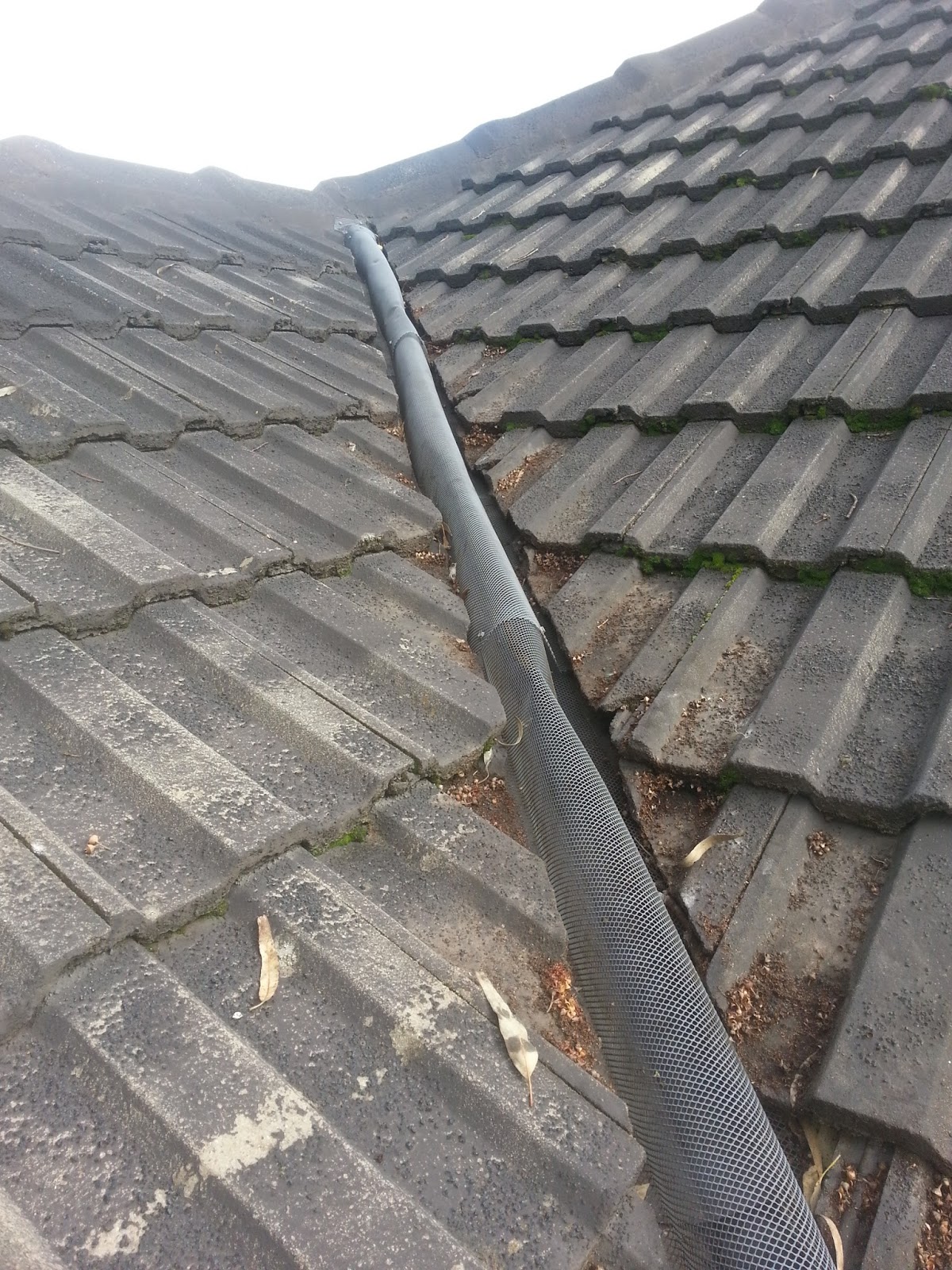 Gutter Cleaning in Adelaide Gutter Guys Adelaide How To Clean Down