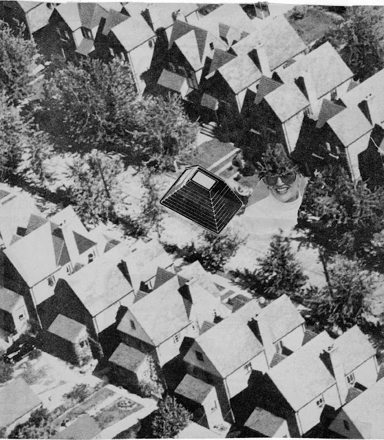 douglas brent smith Collage Read the Dictionary Upside Down