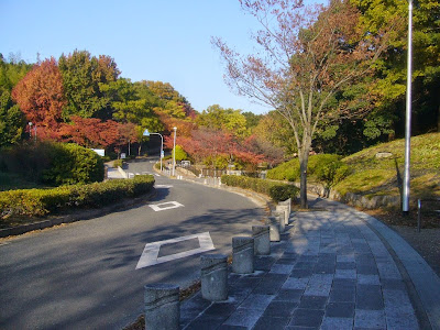 寝屋川公園 紅葉ウォーキング