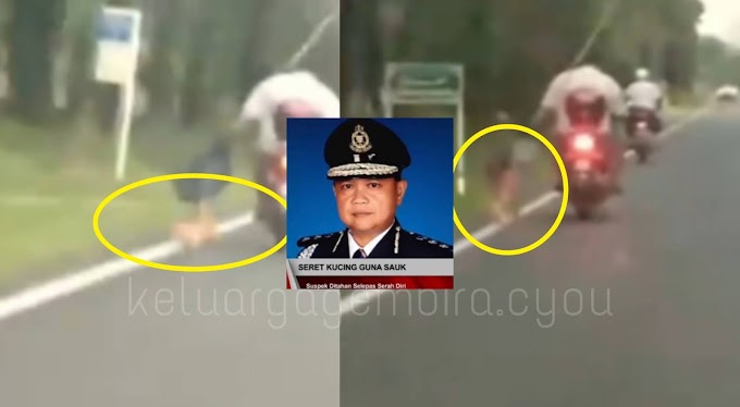 Video tular: Lelaki seret kucing di jalan raya dikecam netizen