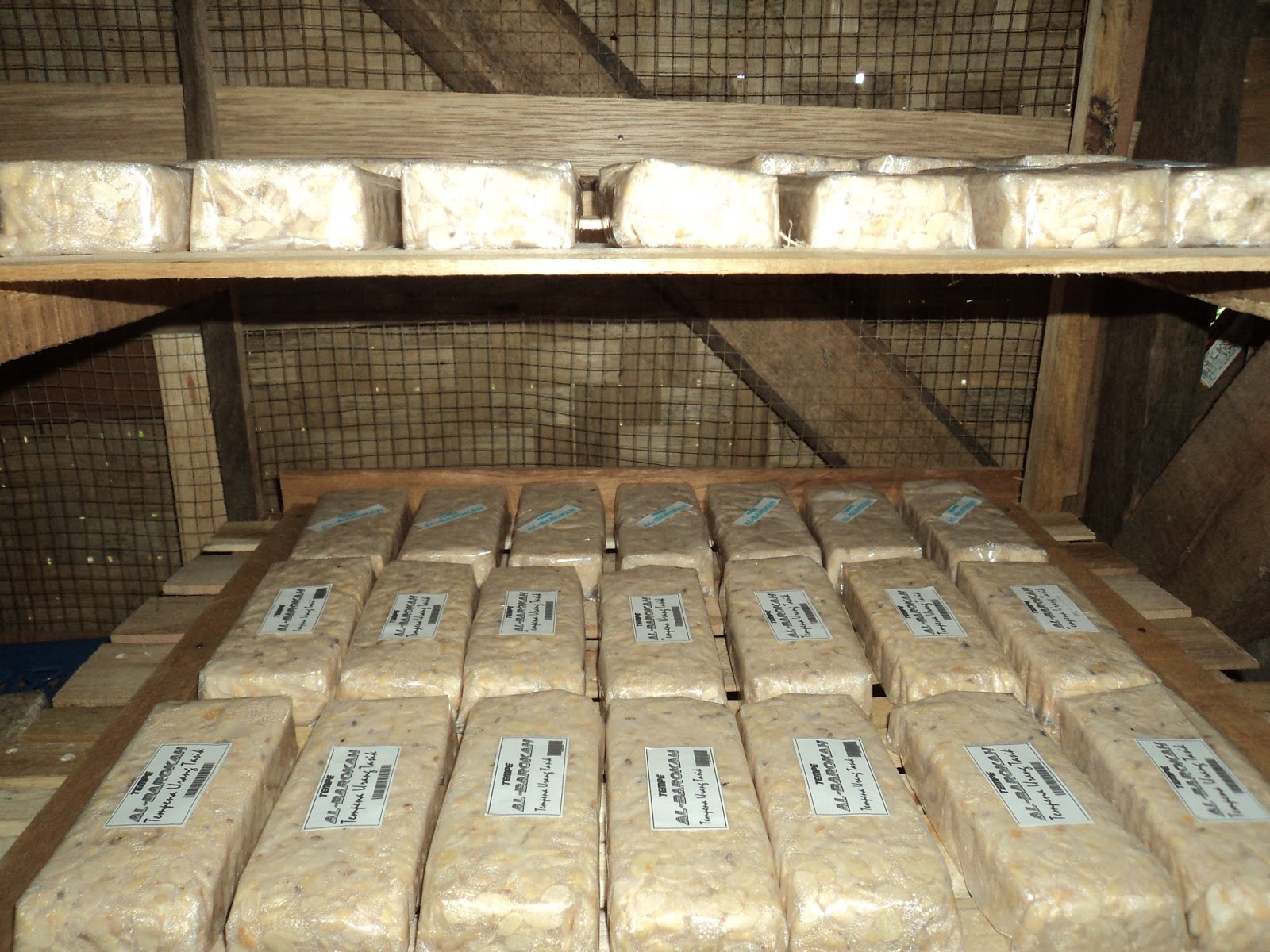 Hasil gambar untuk usaha tempe