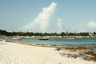 México, qué padre!! - Blogs de Mexico - Playa Akumal (3)