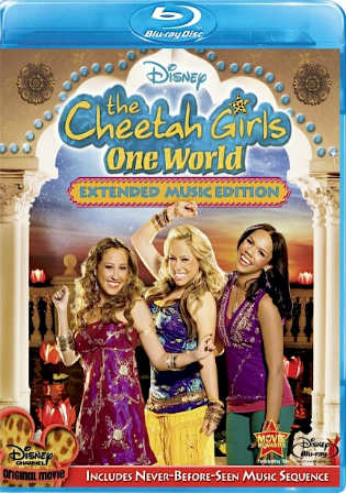 The Cheetah Girls One World 2008 BluRay 300MB Hindi Dual Audio 480p
