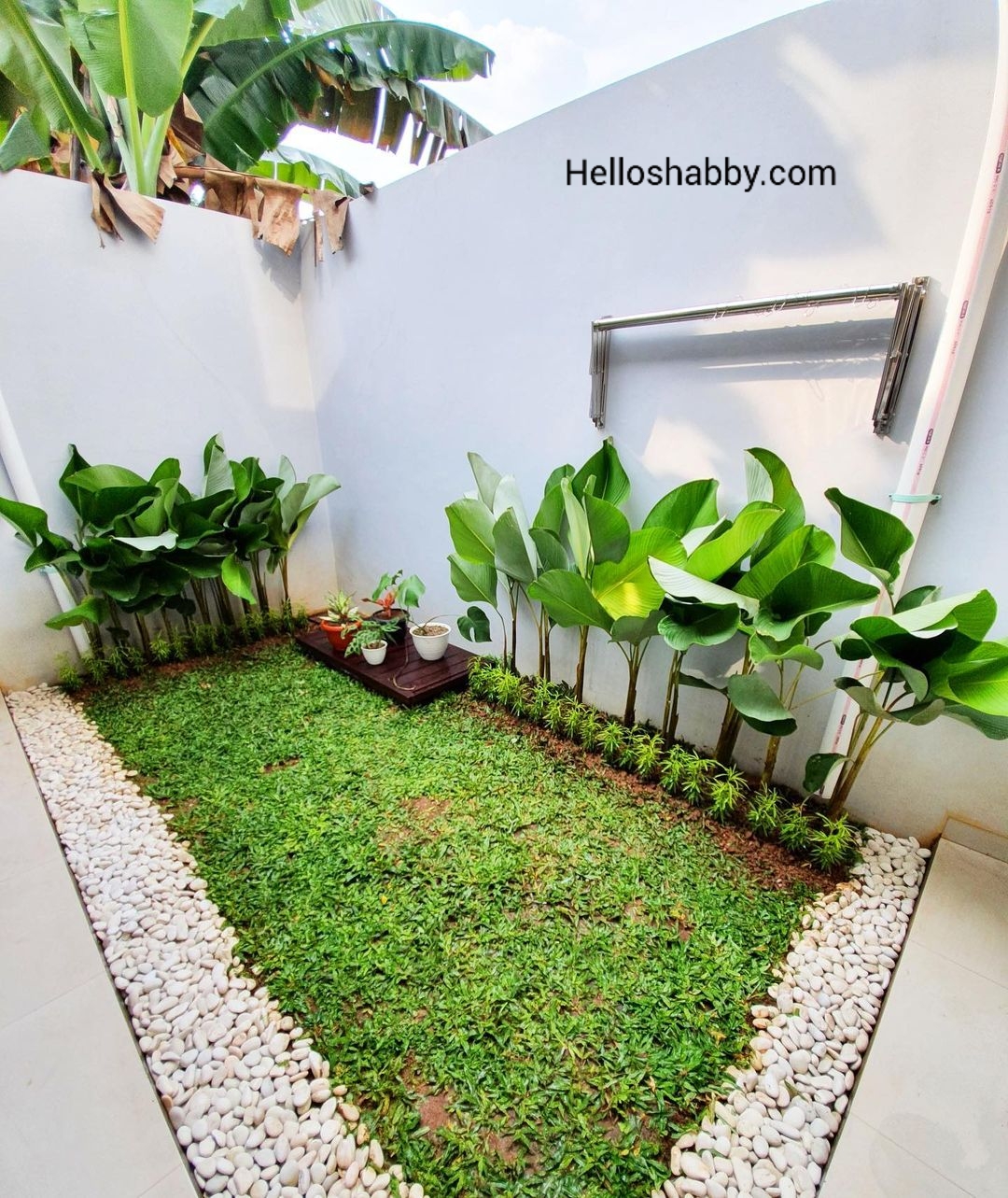 6 Desain Taman Rumah Minimalis Dengan Ukuran 1 x 2 M yang Bisa Anda