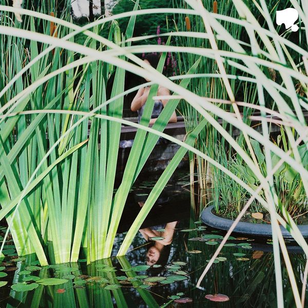 MNYL – The fin. – Single