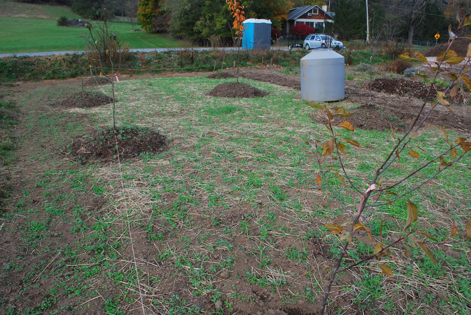 Cullowhee Community Garden