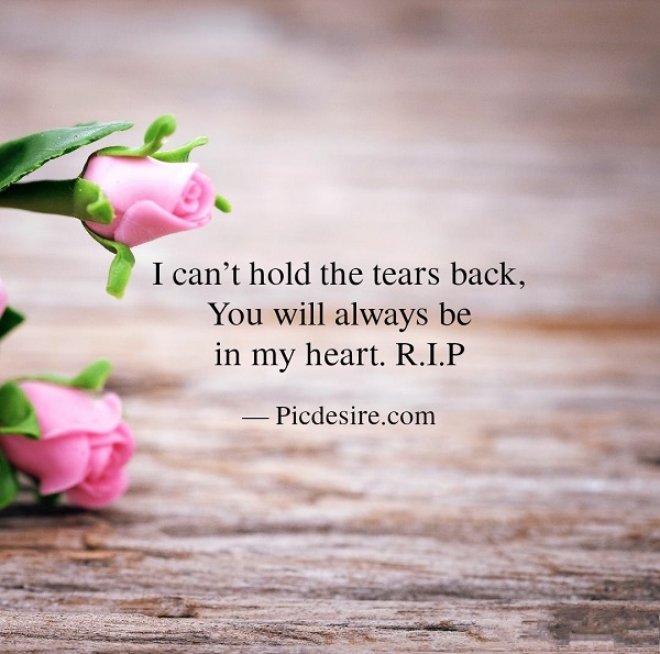 Rip Quotes For Friend 30 Rip Quotes Dedicated To Loved Ones – Picdesire.com