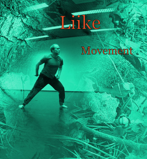 Liike / Movement / Bewegung / Rörelse / Beweging