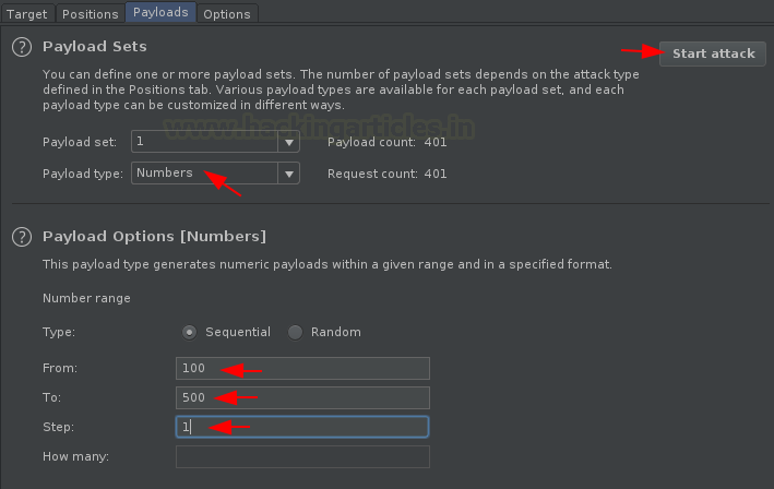 Burp Suite Fuzzing with Intruder