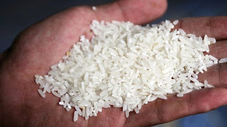 Hati-hati! Konsumsi Nasi dari Beras Plastik Bisa Sebabkan Kanker