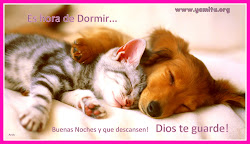 buenas imagenes tiernas noches amor tiernos animales