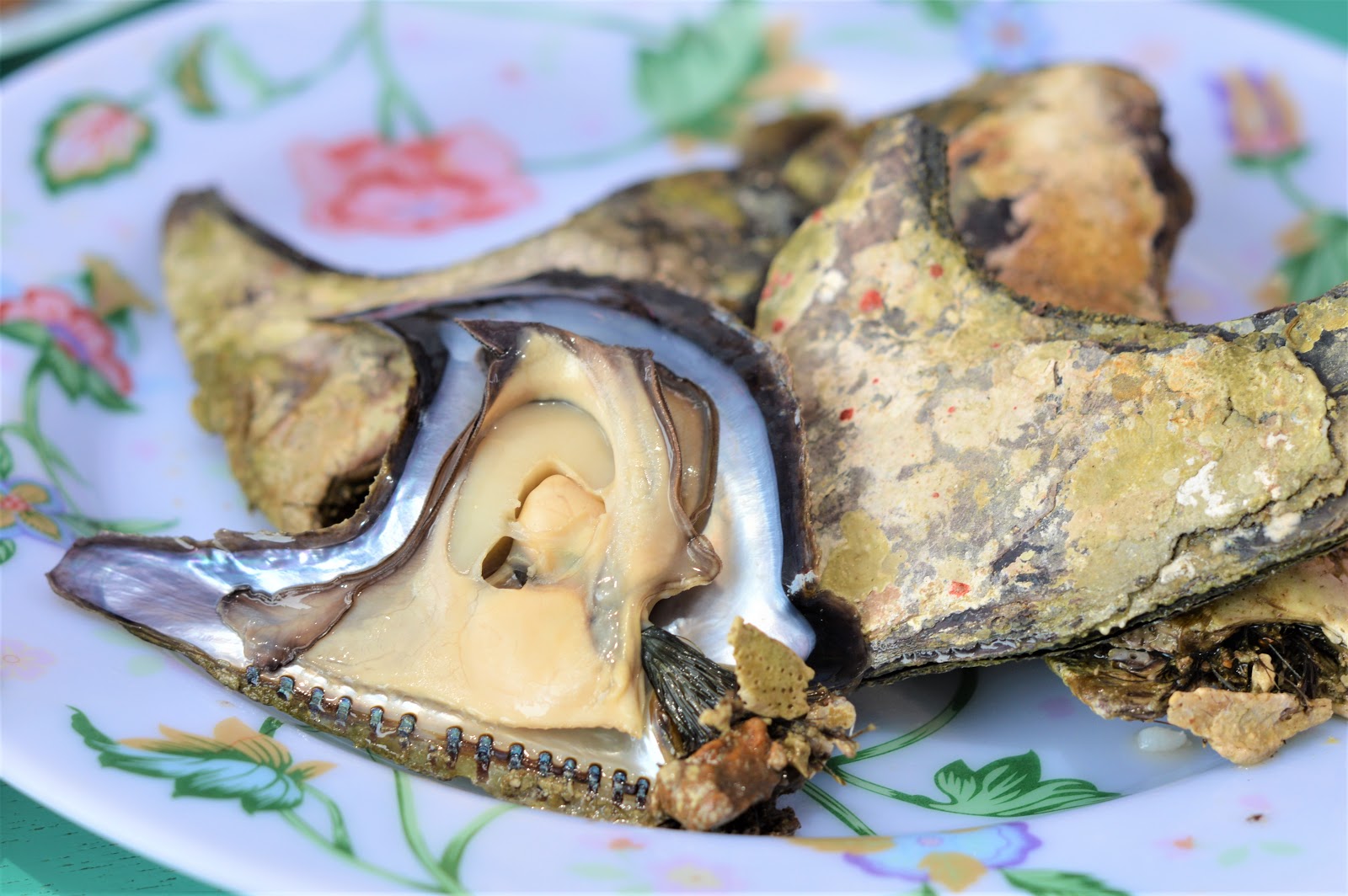 Gigantes Islands Travel Guide For First Time Travelers - The Pinoy Traveler