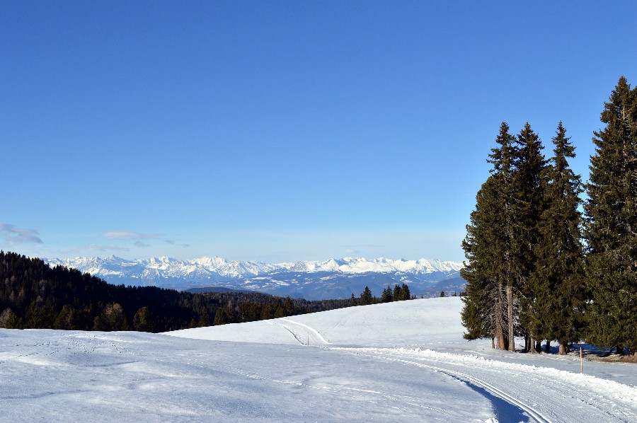 Escursione invernale con o senza ciaspole a malga Ora e Passo Oclini