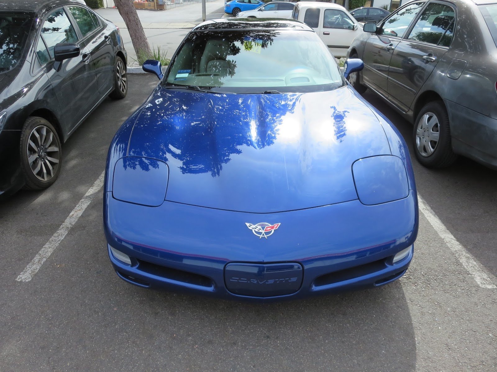 Auto BodyCollision RepairCar Paint in FremontHaywardUnion CitySan Francisco Bay Bumper