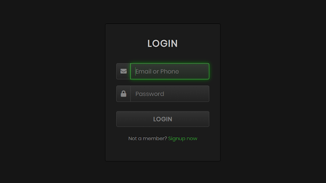 Animated Glowing Inputs Login Form in HTML & CSS