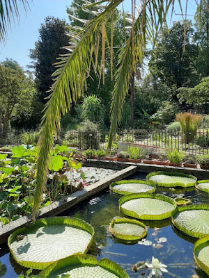 Orto Botanico Padova