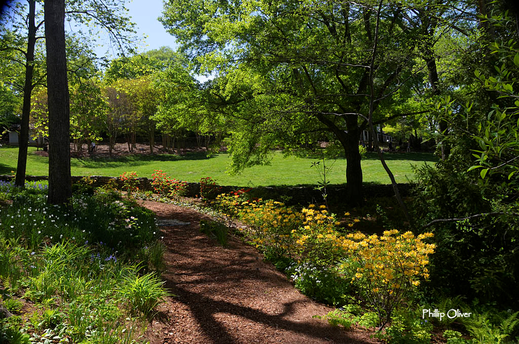 A visit to Cheekwood Gardens in Nashville