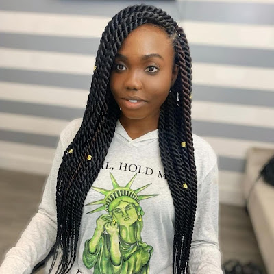 Braids Hairstyles 2020 Pictures: Most Trending Styles for Ladies