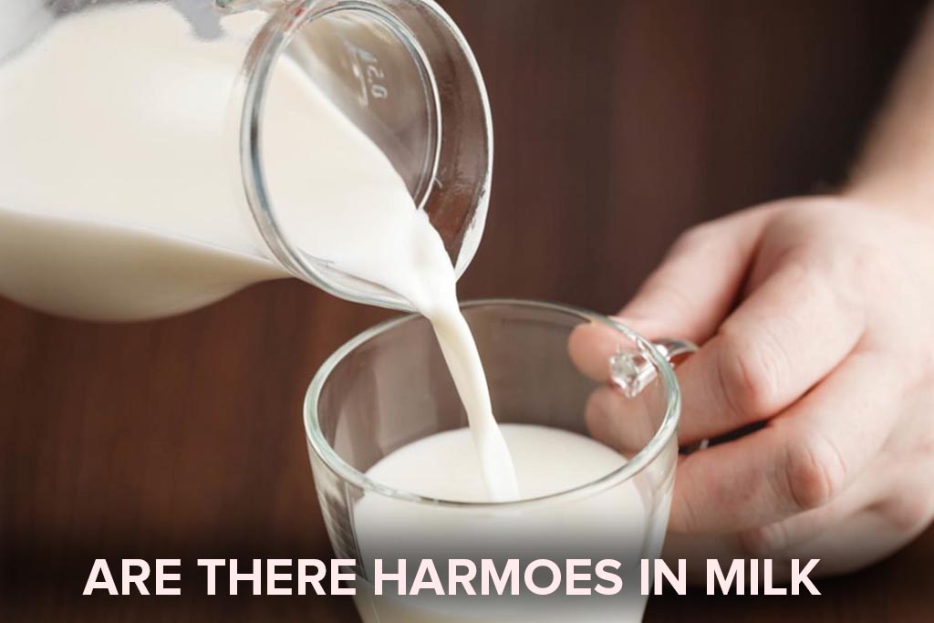 What is Treatment of milk hormone 2019 Imporve Health Imporve Health Best Site For All