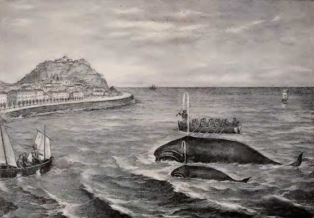 Resultado de imagen para caza de ballenas en el brasil colonial