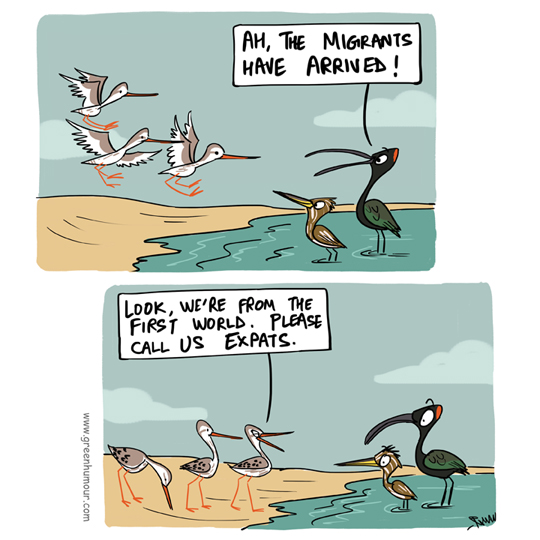Green Humour Migratory Birds from the First World