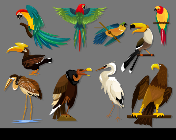 Ilustraciones icónicas de Pájaros