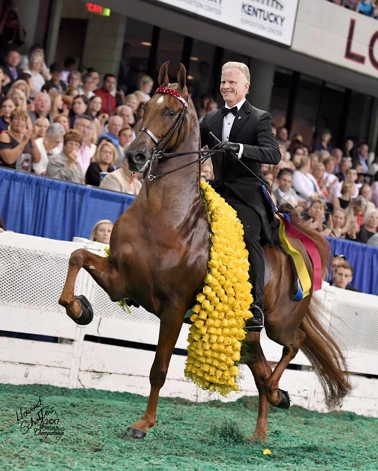 The American Saddlebred 5/6/17 3 Gaited World's Grand Champions 1983