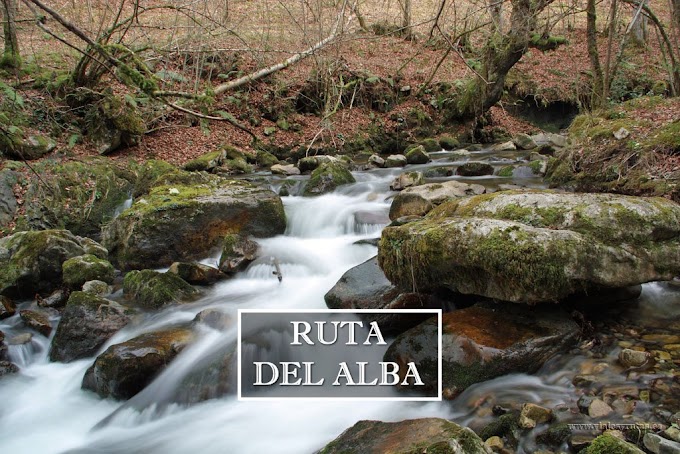 Ruta del Alba: Parque Natural de Redes, Asturias